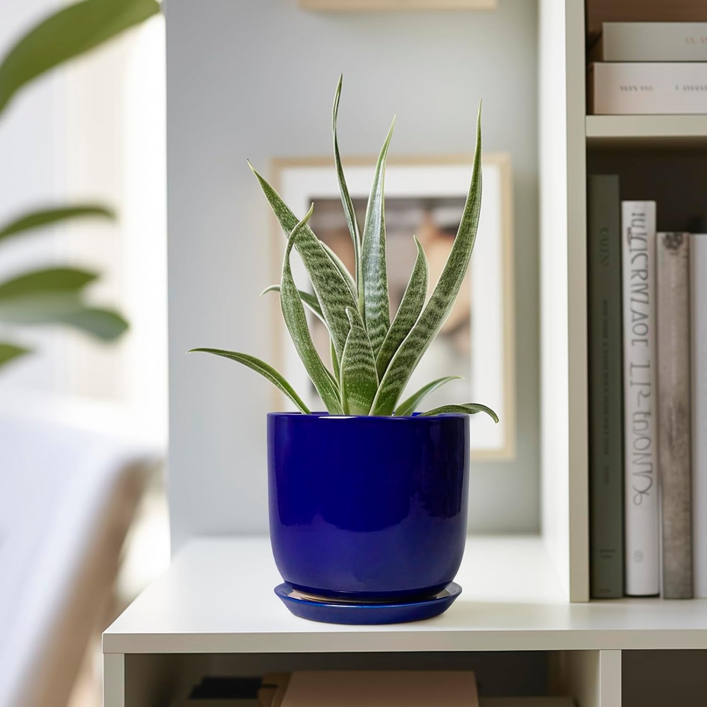 Succulent Pot 5 Inch - Modern Ceramic Planter for Indoor Plants with Drainage Hole and Saucer, Office Home Room Patio Decor, Blue