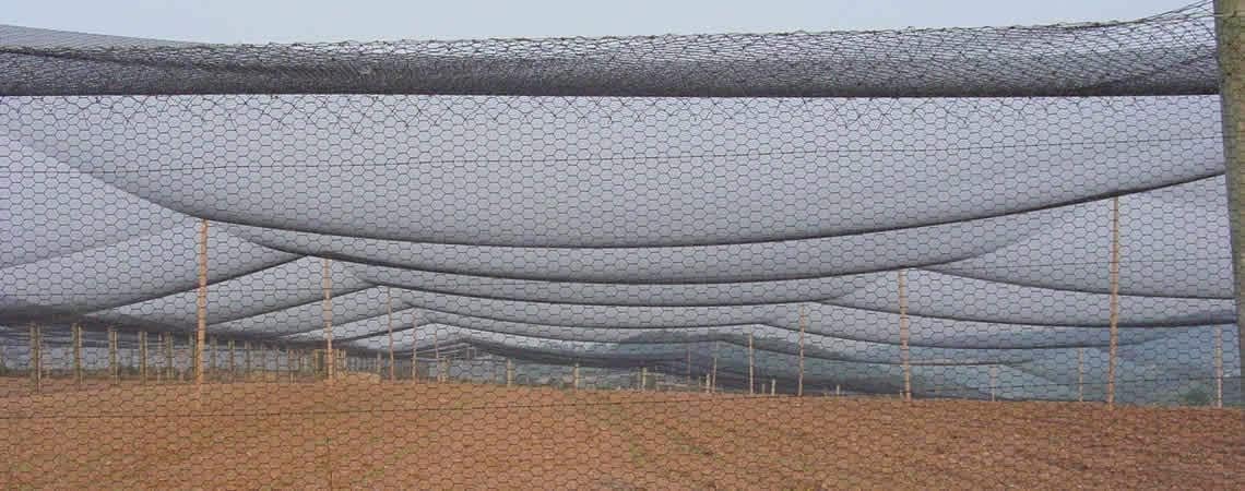 Poultry Netting 1" or 2" Mesh Heavy Knotted Nets Aviary Gamefowl Quail Chicken Bird Block Net Long Lasting Break/Burst 85/245 lb Polyethylene 8-10 Year Lifespan (25' X 25', 1)