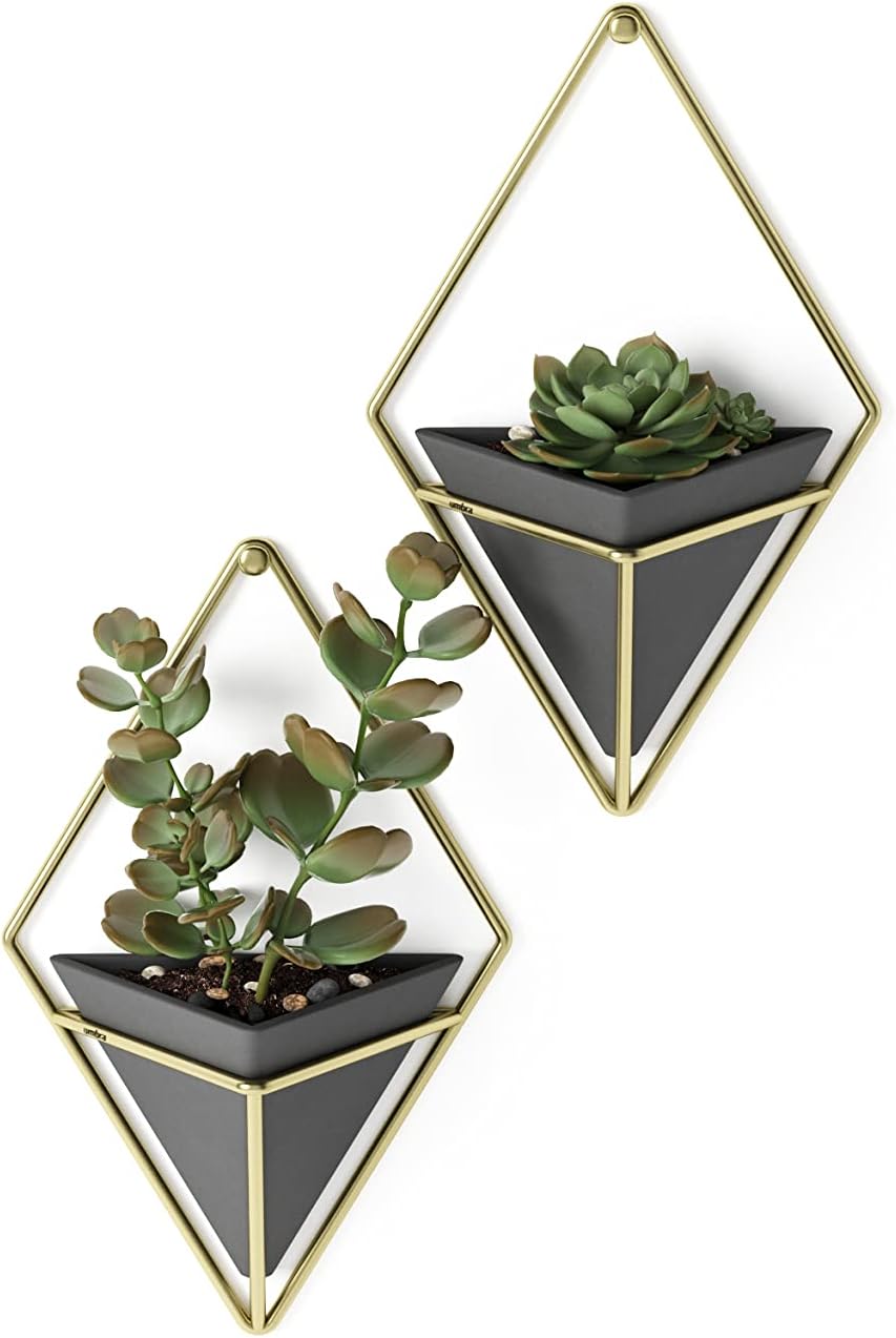 Umbra Trigg Hanging Planter Vase Wall Decor, Set of 2 Pots Containers for Succulents, Cactus, Faux Plants, and More, Small, Black/Brass