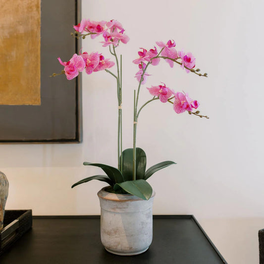Faux Pink Orchid Plant, Premium Artificial Indoor Flower Display Stands 24”, Beautiful Sculptural Blooms That Lasts Forever, Grey Planter Pot Included