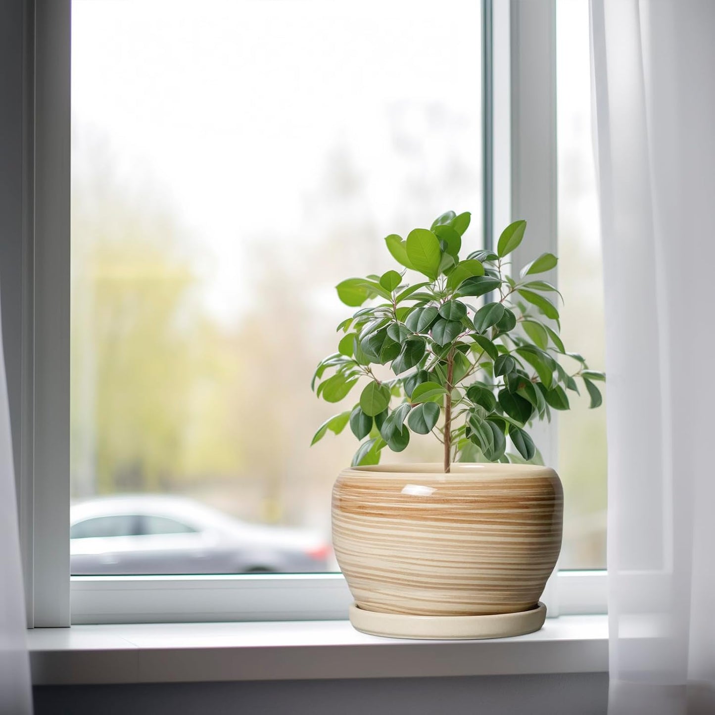 SQOWL Ceramic Planter- 8 Inch Plant Pot Indoor Outdoor, Round Planter with Drainage Hole and Plant Saucer, Decorative Modern Ceramic Flower Pot, Living Room Decor, Garden Gifts, Yellow