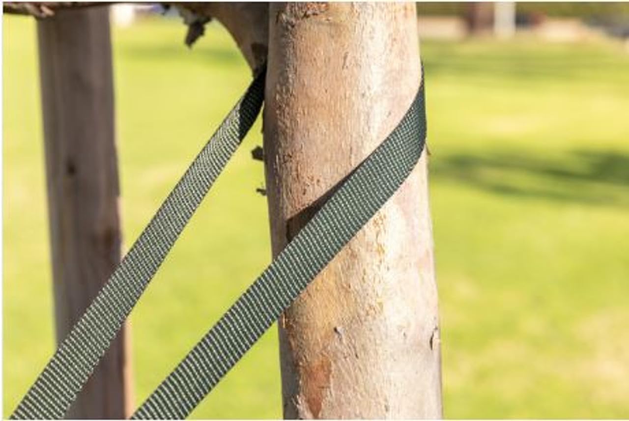 Tree Straps for Staking, Tree Ties for Plant Support, 3/4 Inch Width Guying Material Webbing Garden Strap for Outdoor Tree Straightening, 1500 Lbs Strength (Army Green) - 250 Feet