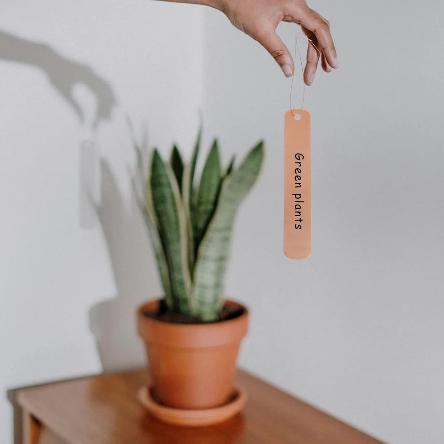 KESYOO Copper Plant Tags Reusable Garden Labels Hanging Metal Plant Tag with Wires for Flower Bed Balcony Pots Planters - 4.72 X 0.78 Inches