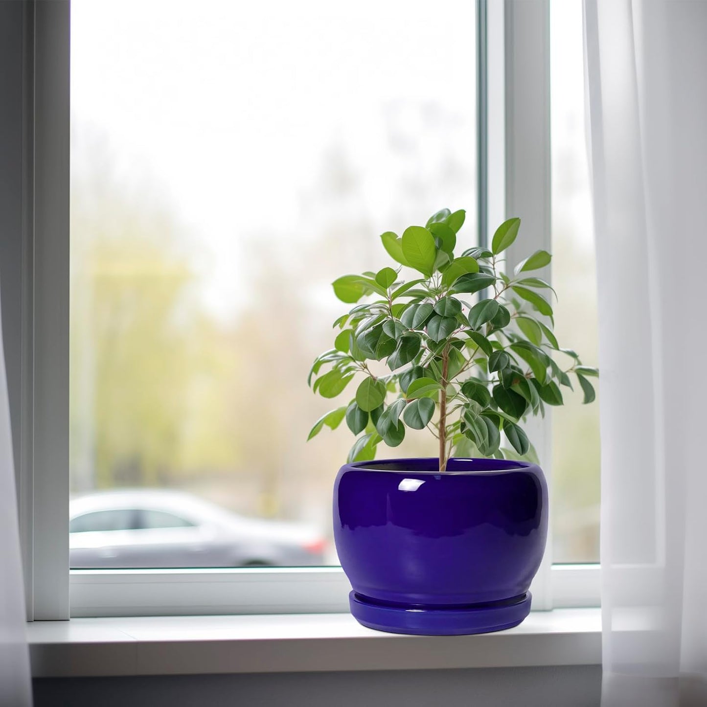 SQOWL 8 Inch Plant Pot - Ceramic Planter for Indoor Plants Outdoor, Ceramic Flower Pot with Drainage Hole and Saucer, Modern Round Planter, Bathroom Decor, Gifts for Plant Lovers, Blue