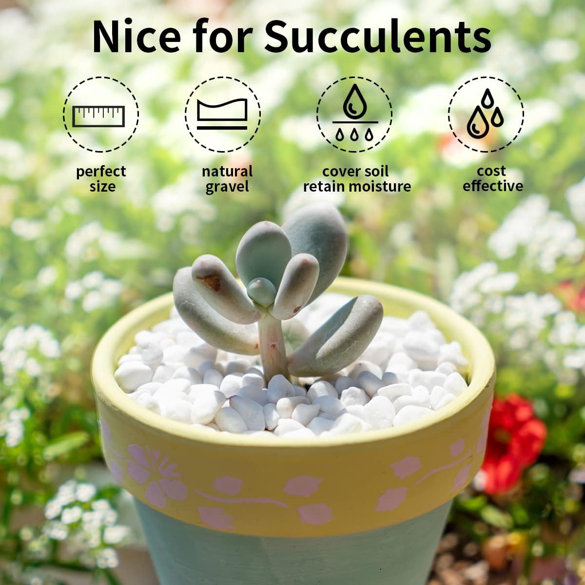 10LB Natural Succulent Gravel Decorative White Rocks - 3/8'' Small White Pebbles for Plants, Decorative Stones, Succulent Rocks Pebbles for Planter, Aquarium Pea Gravel for Landscaping