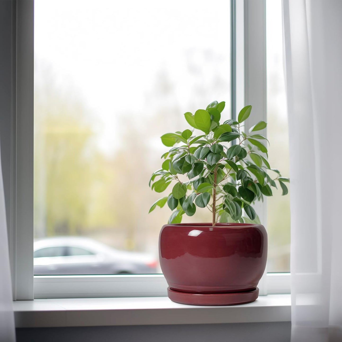 SQOWL Ceramic Planter - 8 Inch Plant Pot with Drainage Hole and Saucer, Round Planter for Indoor Outdoor Plants, Modern Decorative Flower Pots, Home Decor, Plant Lover Gifts, Red