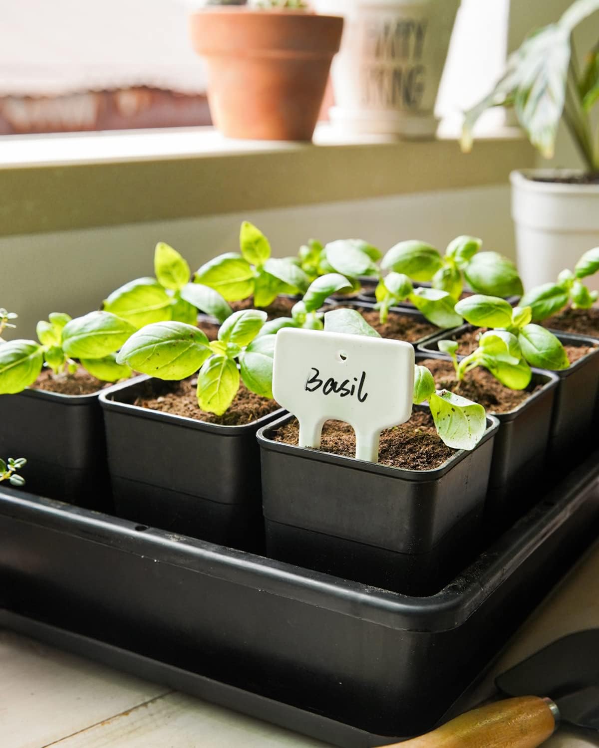 Plant Labels, Ceramic Garden Markers, Herbs Succulent Name Tags, Supplies for Seeding Pot Potted Plants Raised Bed, Indoor & Outdoor, Reusable Waterproof - Set of 12, White