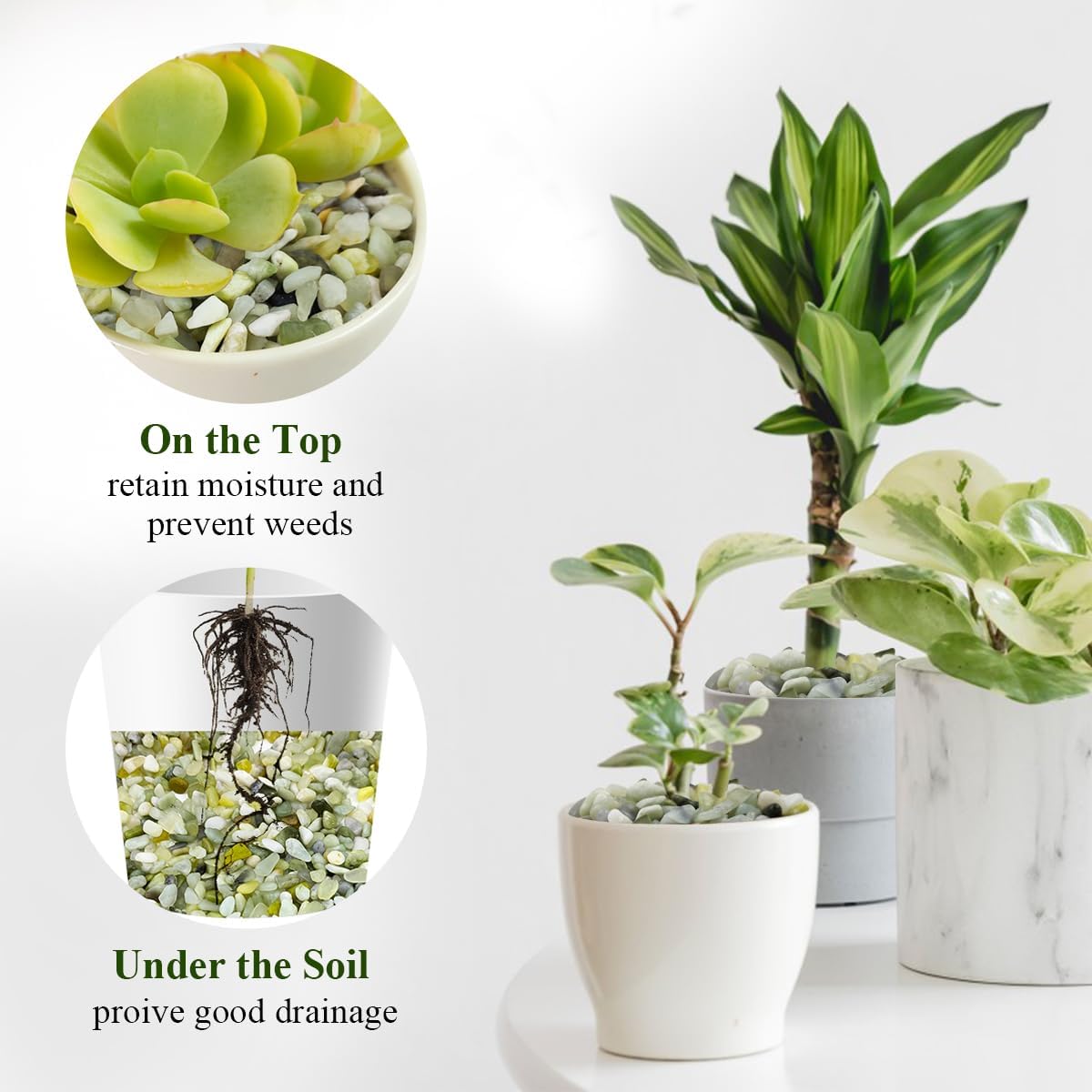 2 lbs Jade Rocks for Plants Indoor, 3/8 inch Small Pebbles for Indoor Plants, Decorative Rocks for Succulents Cactus Bamboo Vases Landscaping Drainage and Outdoor Garden Rocks