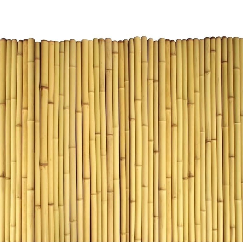 Bamboo Fence Rolls 6 Feet High, 6 ft High x 8 ft Long x 0.75 in D