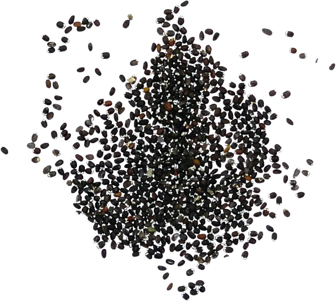 Seed Needs, Catmint Seeds for Cats - 600 Heirloom Seeds for Planting Nepeta mussinii - Perennial Flowering Medicinal Herb Non-GMO & Untreated (5 Packs)