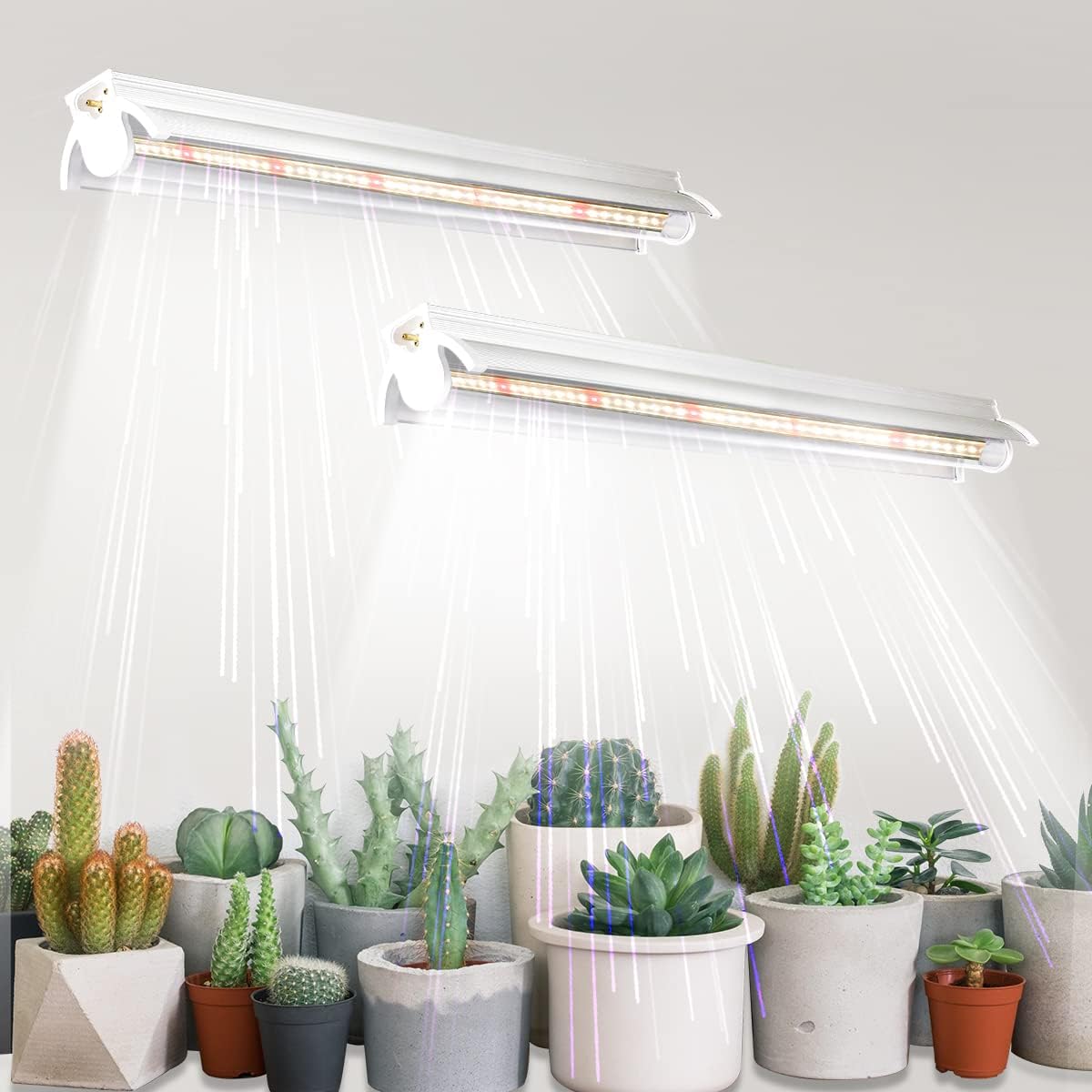 T5 Grow Lights 2 Pack, 1.4Ft 5000K White Full Spectrum LED Plant Growing Lamp Strips for Indoor Plants, Seeds Starting, Succulents, High PPFD with V-Shaped Reflector