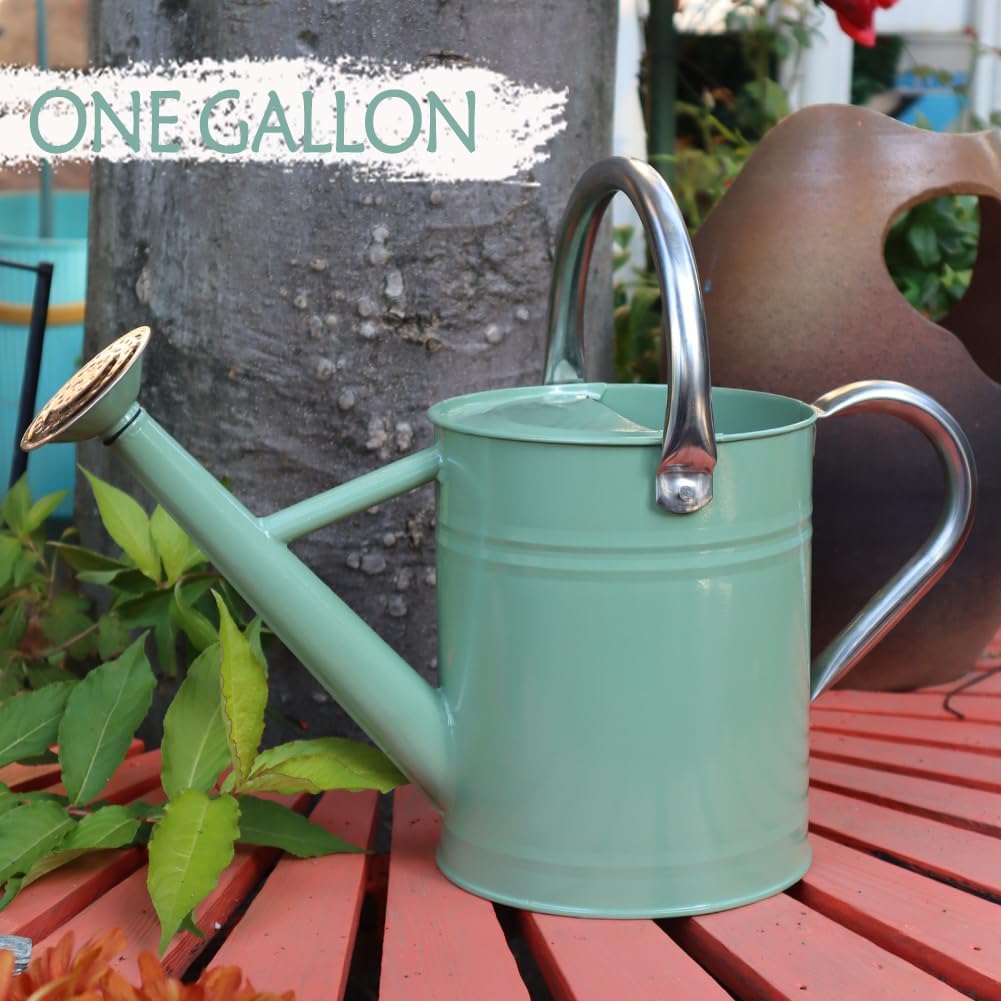 Metal Watering Can, One Gallon Watering Cans Stainless Steel for Outdoor Indoor Garden Plants Watering (Cream Green)