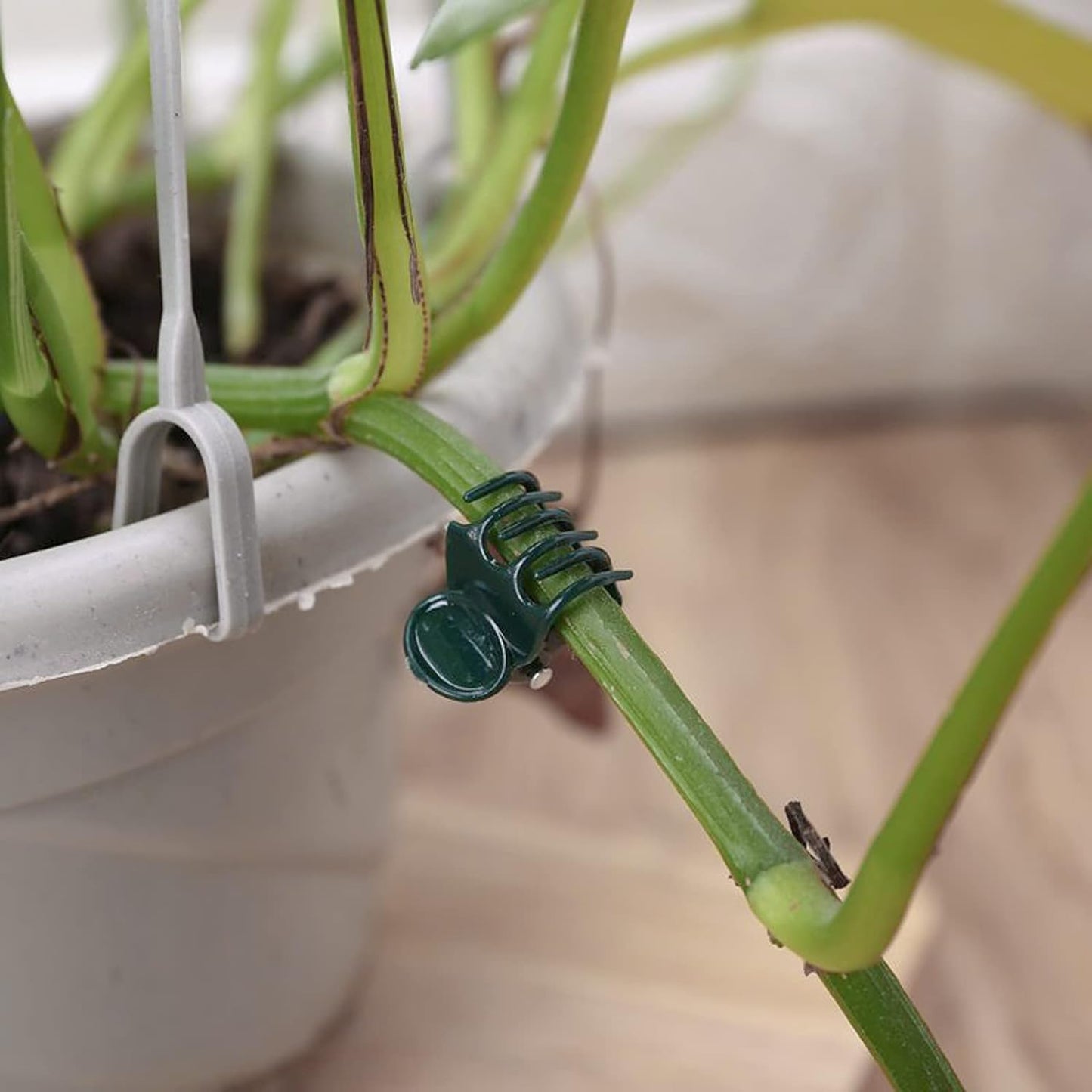 AccEncyc 100 Pcs Plant Clips Orchid Clips Plants Orchid Support Clips Flower Vine Clips for Supporting Stems Vines Stalks Climbing Plant Grow Upright