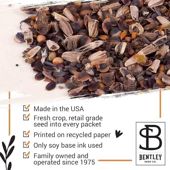 Bentley Seed Co. Thank You Packet - Pollinator Flower Mix - 25 Seed Packets - Perfect Eco-Friendly Thank You Gift - Non GMO Seeds, Green