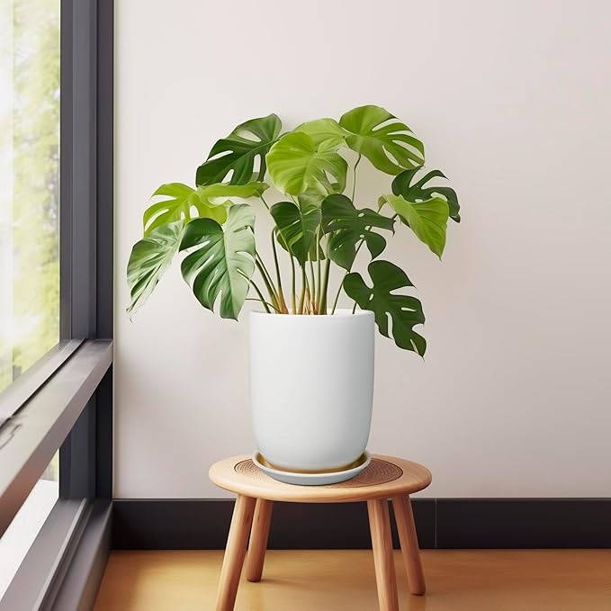 Plant Pot 8 Inch - Ceramic Planter for Indoor Plants Outdoor, Large Plant Pot with Drainage Hole and Saucer, Modern Flower Pot, White