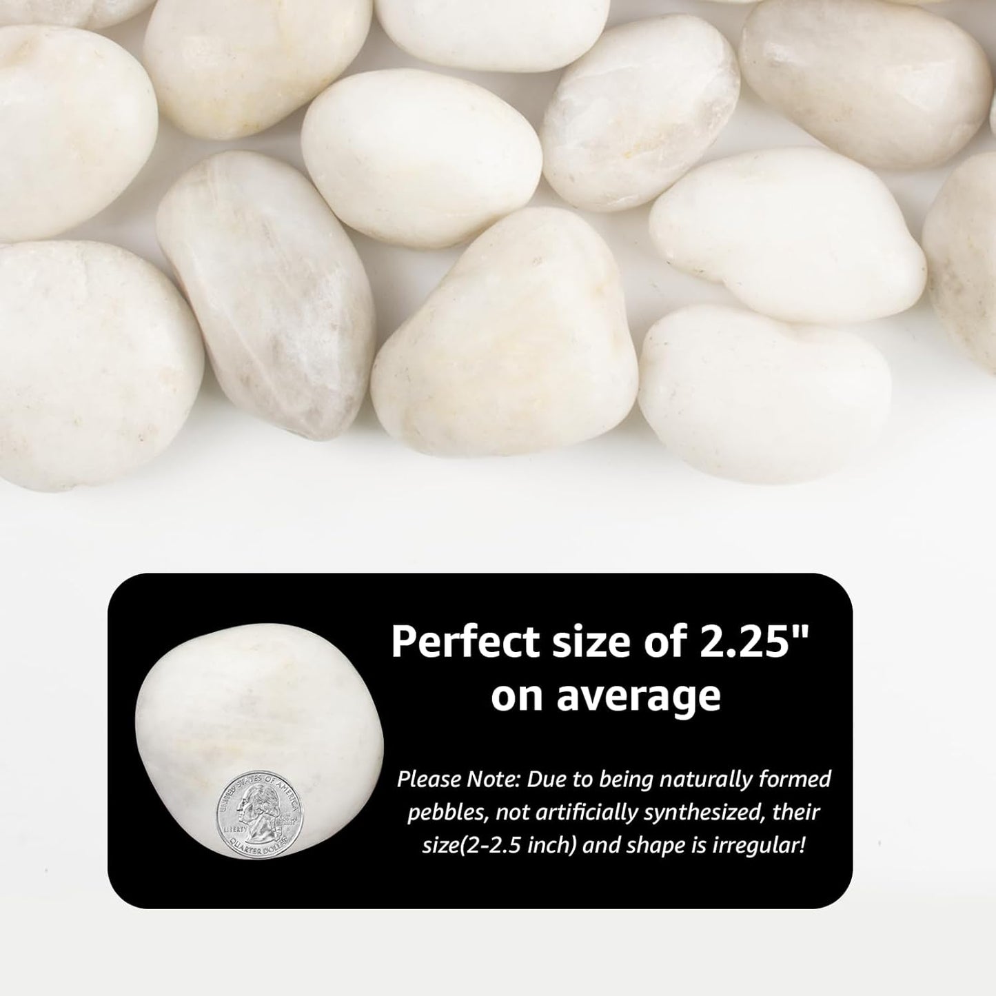 River Rocks - Natural Polished White Pebbles, 2-3 inches, 10 lbs - Ideal for Patio Landscaping, Rock Gardens, Succulent Arrangements, and Pathway Edging (White, Weight: 10 LB)