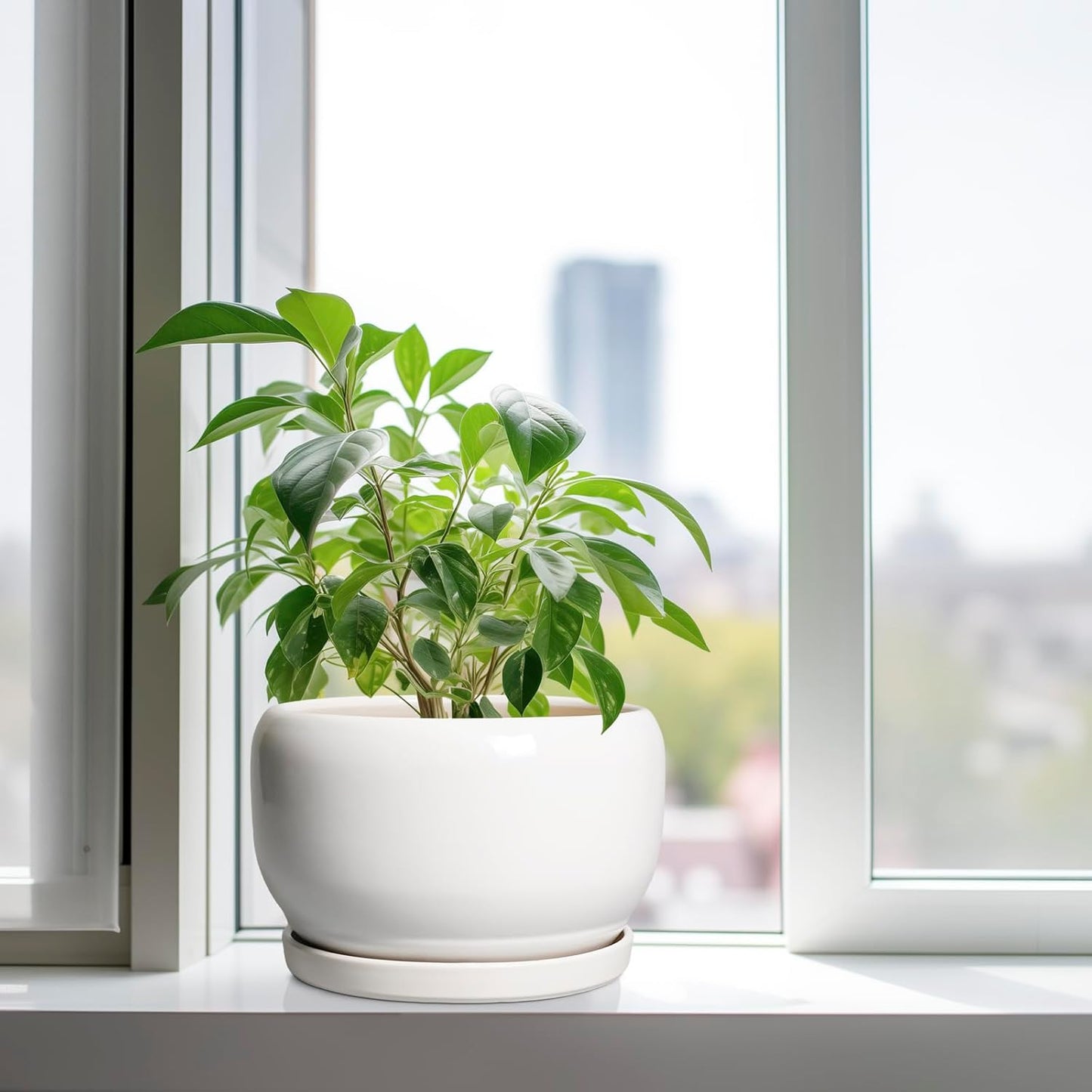 SQOWL Ceramic Pot for Plants - 10 Inch Planter with Drainage Hole and Saucer, Round Ceramic Flower Pot for Indoor Outdoor, Modern Decorative Large Planter, Patio Decor, Gifts for Plant Lovers, White