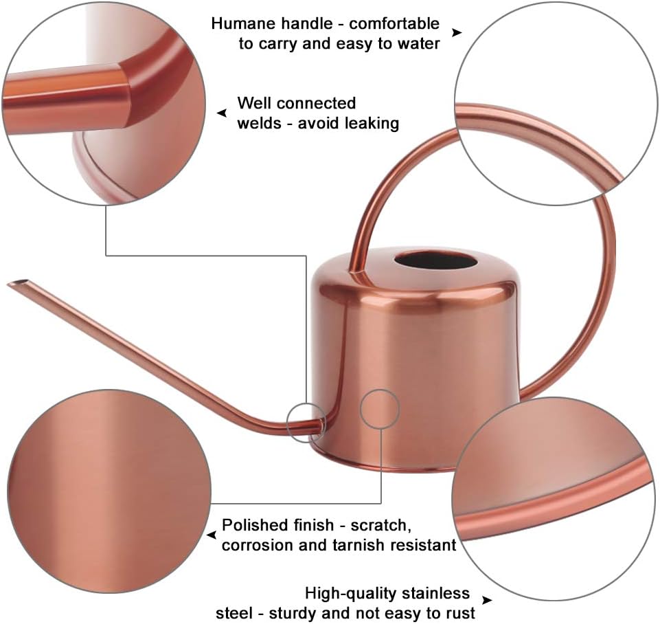 Remiawy Watering Can Indoor Outdoor Stainless Steel Watering Cans for House Plants Long Spout Water Can for Succulent Bonsai Garden Flower(40oz/1300ml)