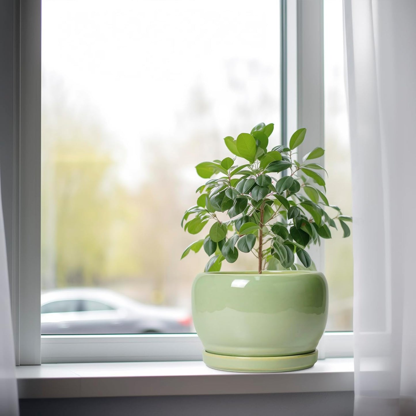 SQOWL 8 Inch Plant Pot - Ceramic Planters with Drainage Hole and Tray, Round Flower Pot for Indoor Plants, Modern Decorative Planters Outdoor, Garden Decor, Housewarming Gifts, Green