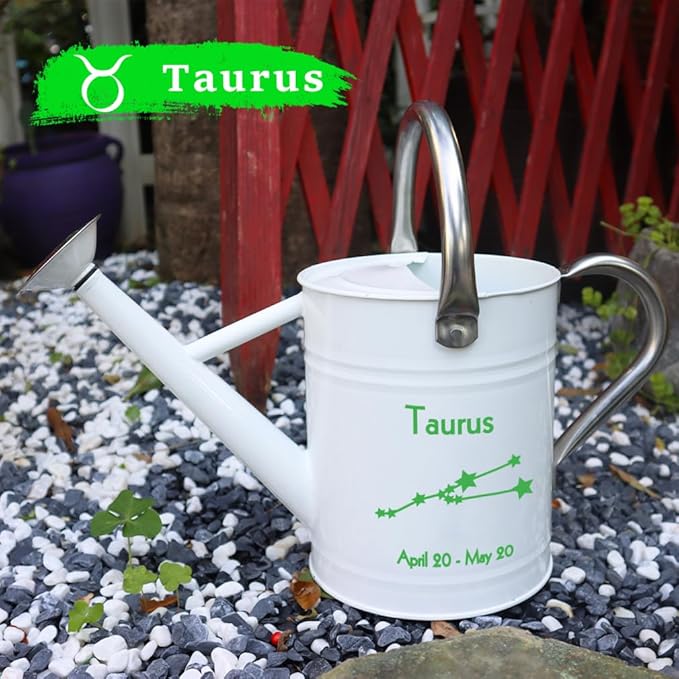 Metal Watering Can for Outdoor and Indoor Plants, Watering Can Decor, 1 Gallon (Taurus)