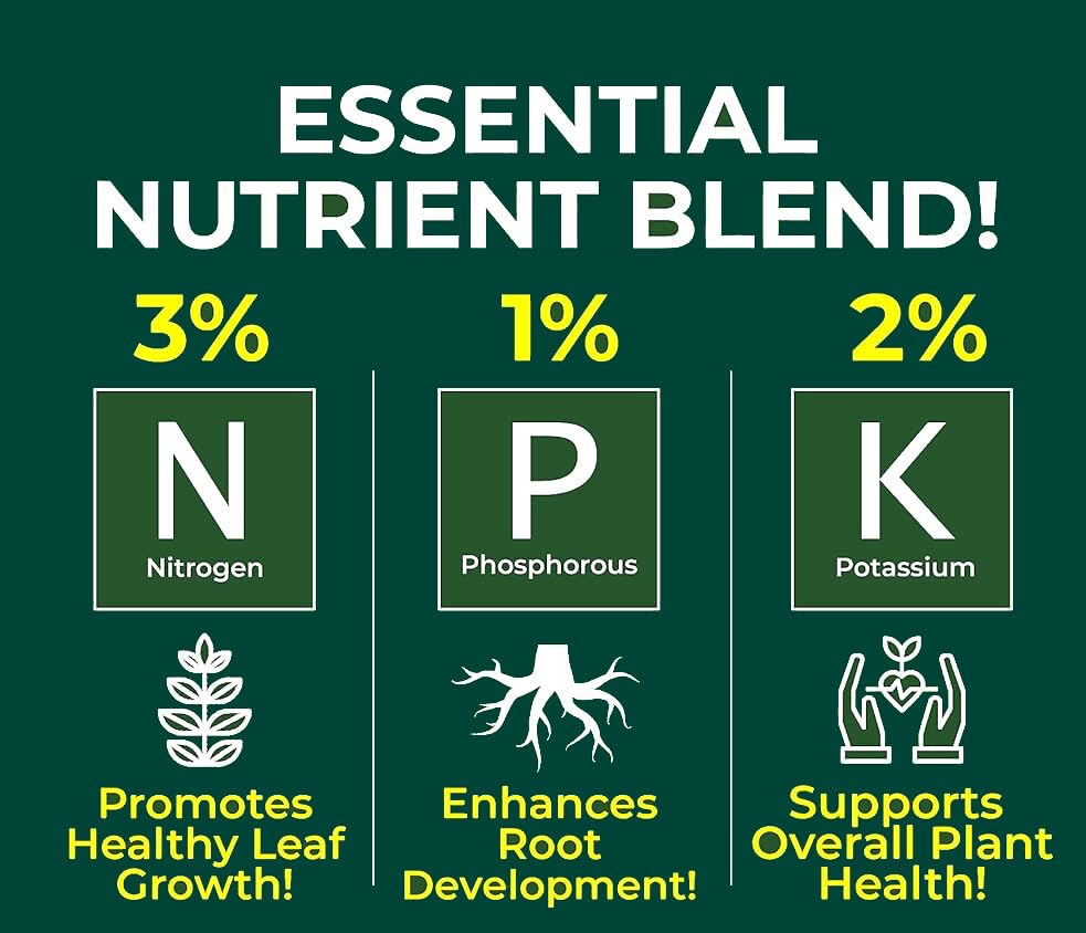 Professional Olive Tree Spray Fertilizer Mist for Home Gardening | 3-1-2 Gentle Blend Mist for Healthy Leaves & Growth | Essential Nutrients for Olive Trees - 8oz