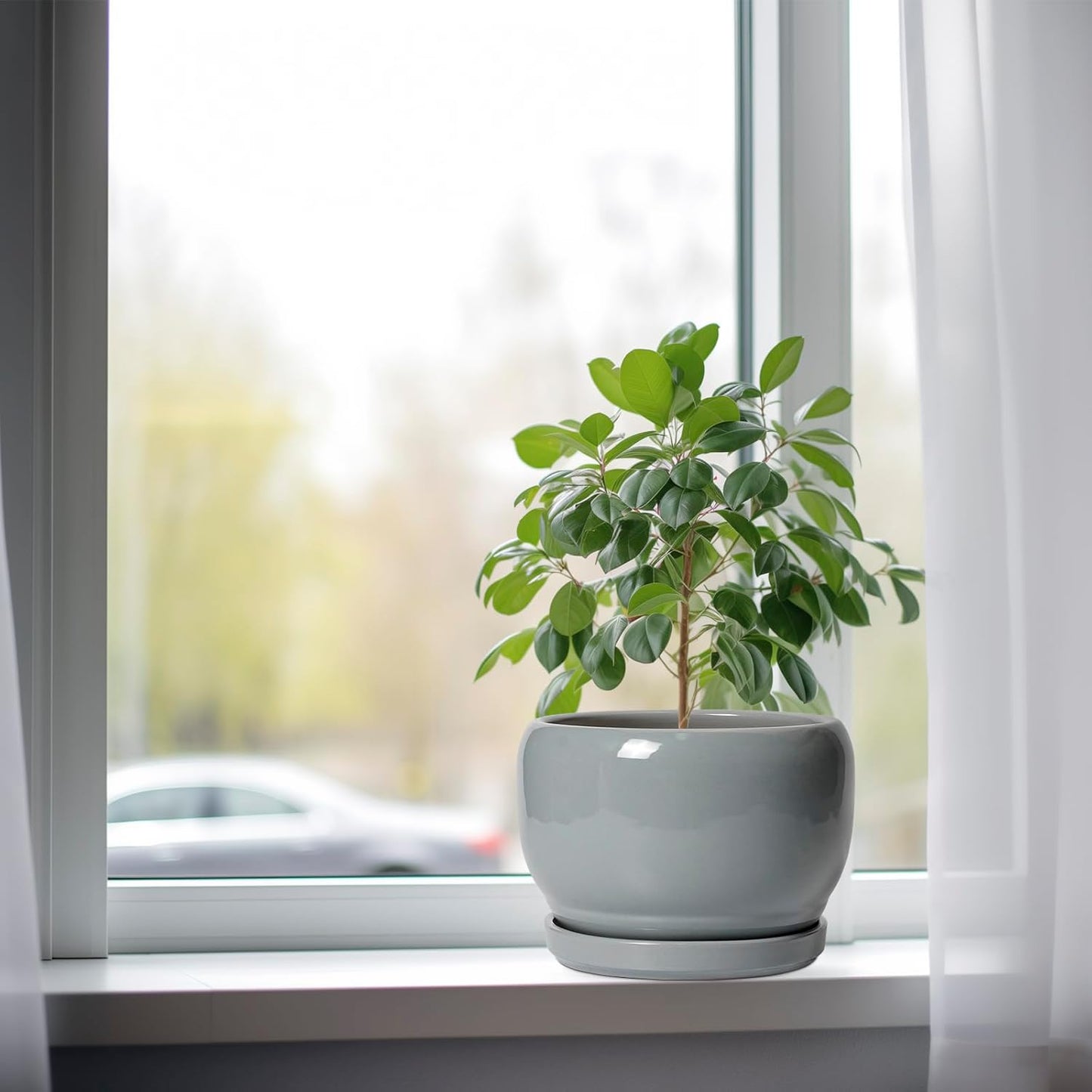 SQOWL Ceramic Pot for Plants - 8 Inch Plant Pot Indoor with Drainage Hole and Saucer, Round Planter Outdoor, Decorative Modern Planter for Flower, Bedroom Decor, Plant Lovers Gifts, Gray