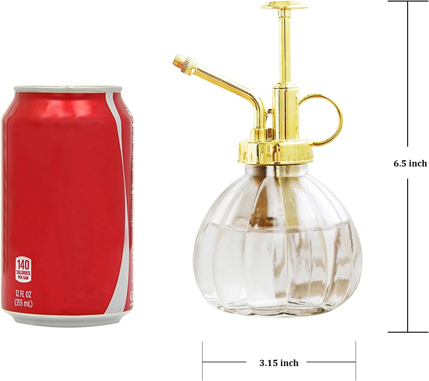 Plant Mister, 6.5" Tall Decorative Glass Water Spray Bottle with Gold Top Pump Small Watering Can by Ebristar - Clear