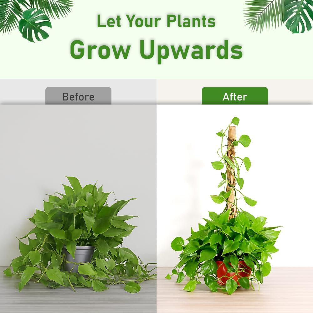 2 Pack Moss Pole for Plants Monstera, 28 Inch Bendable Plant Pole for Plant Support, Coco Coir Moss Poles for Climbing Plants, Handmade Moss Sticks for Creeper Plants Grow Upwards