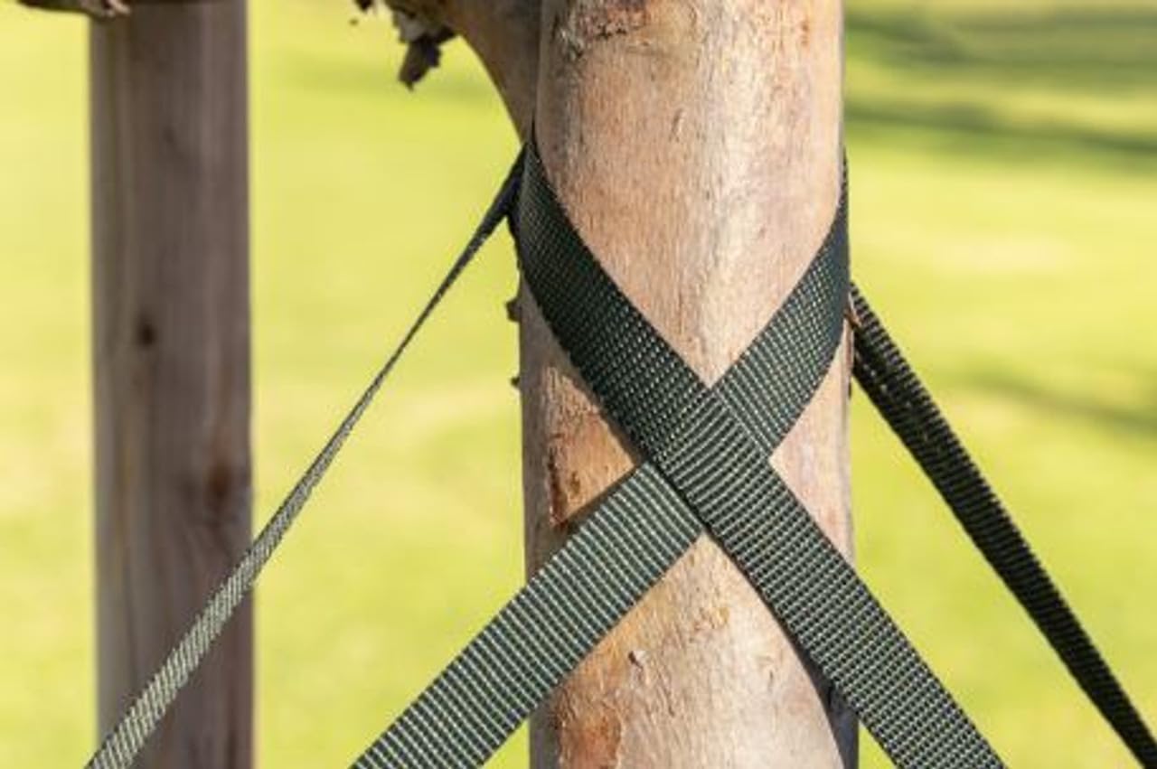 Tree Straps for Staking, Tree Ties for Plant Support, 3/4 Inch Width Guying Material Webbing Garden Strap for Outdoor Tree Straightening, 1500 Lbs Strength (Army Green) - 250 Feet