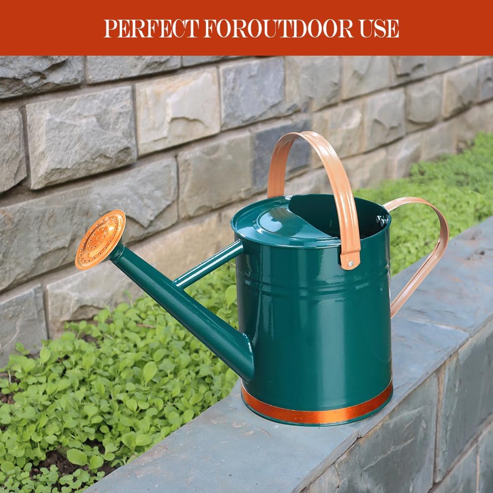 Metal Watering Can, One Gallon Watering Cans Stainless Steel for Outdoor Indoor Garden Plants Watering (One Gallon Green Decorative Strip)