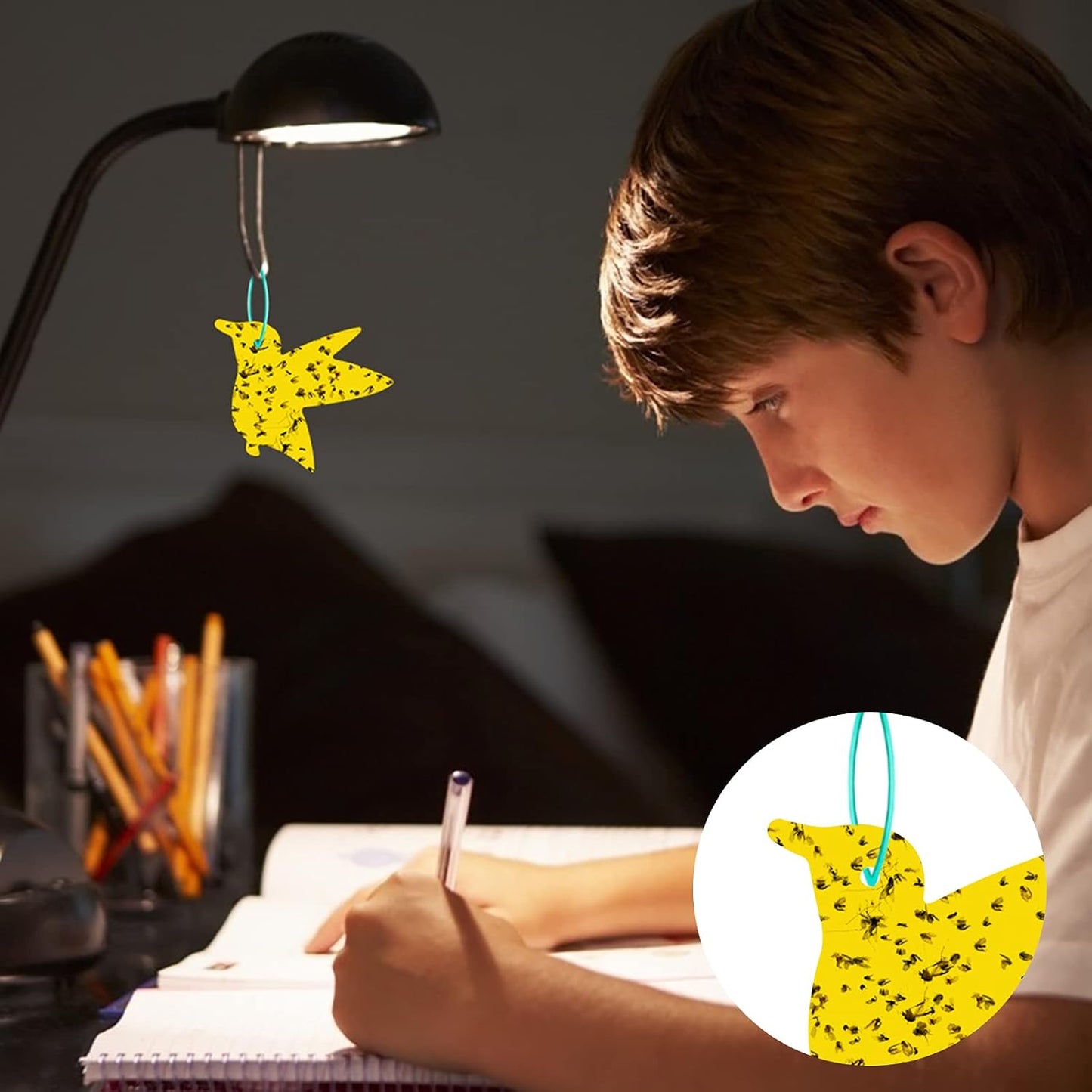 48 Pack Gnat Traps for House Indoor, Sticky Traps for Gnats Fruit Fly Traps for Indoors Plant Gnat Killer Indoor, Gnat Trap Fungus Gnat Sticky Trap Flies Bug Plant Trap