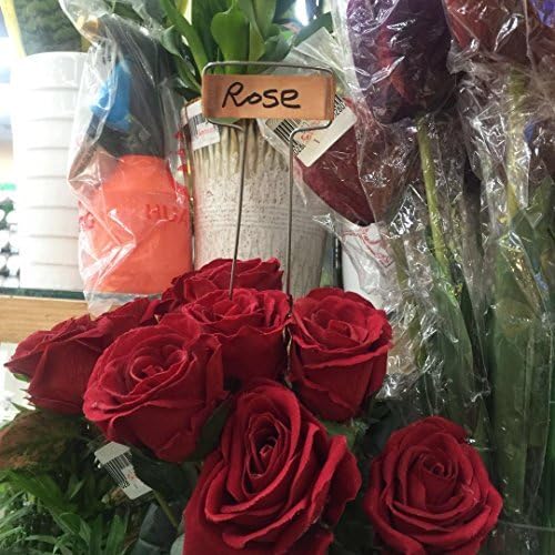 Pack of 30 Copper Plant Labels for Garden, Metal Plant Markers Nameplate, Plant Tags for Outdoor and Potted Plants (5" x 2.6")