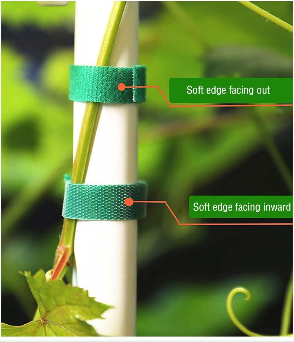 Plant Tape, 32 Ft Green Garden Tape, Twist Ties for Plants 13/16", Plant Supports, Garden Ties for Climbing Plants, Plant Twist Tie for Plant Gardening, Home, Office