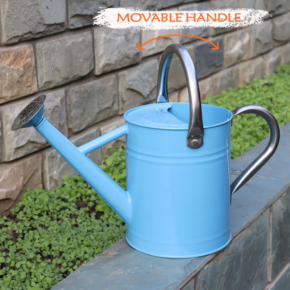 Metal Watering Can, One Gallon Watering Cans Stainless Steel for Outdoor Indoor Garden Plants Watering (Stainless Steel Handle Blue)