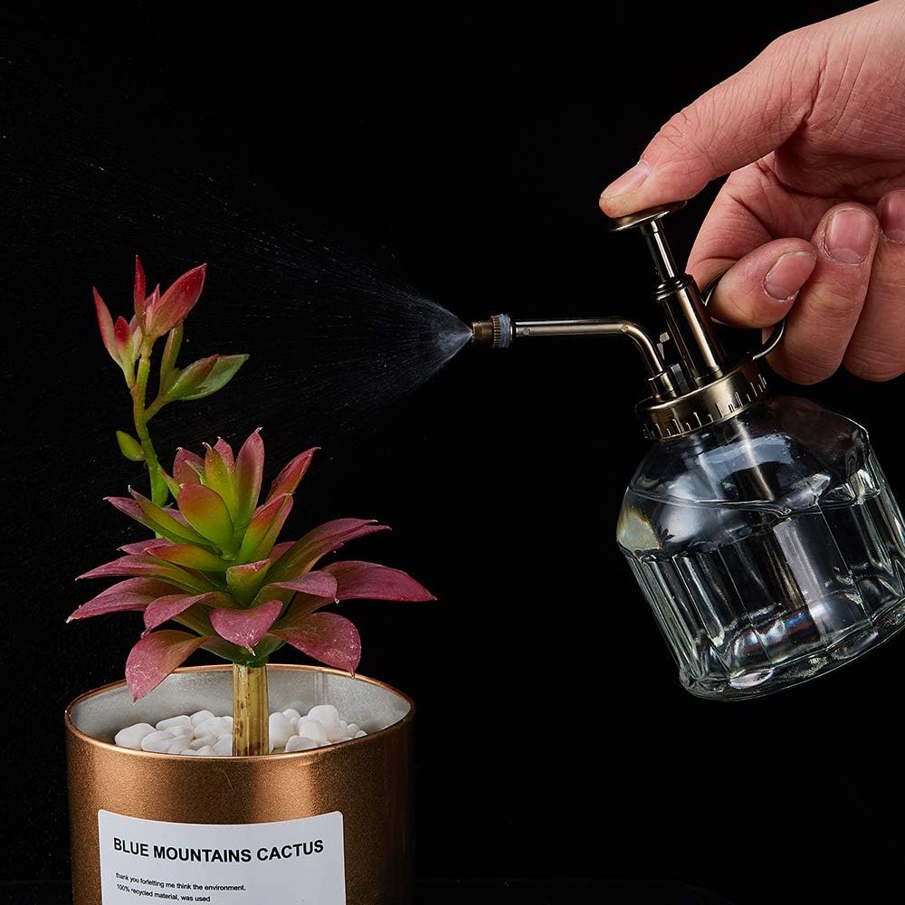Glass Plant Mister Spray Bottle, 6.5" Tall Vintage Plant Water Spritzer Sprayer, Succulent Watering Bottle with Top Pump, Small Glass Watering Can for Indoor Outdoor Houseplant - Clear
