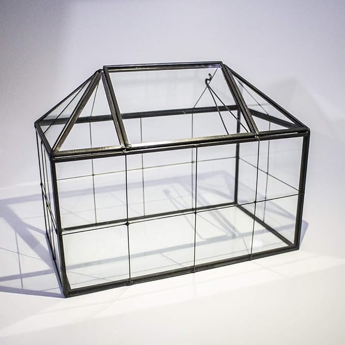 Ferrisland Glass Terrarium Greenhouse House Shape Display Box Planter for Succulents Plant Terrarium Container Mordern Tabletop Decor Gardern DIY Kit