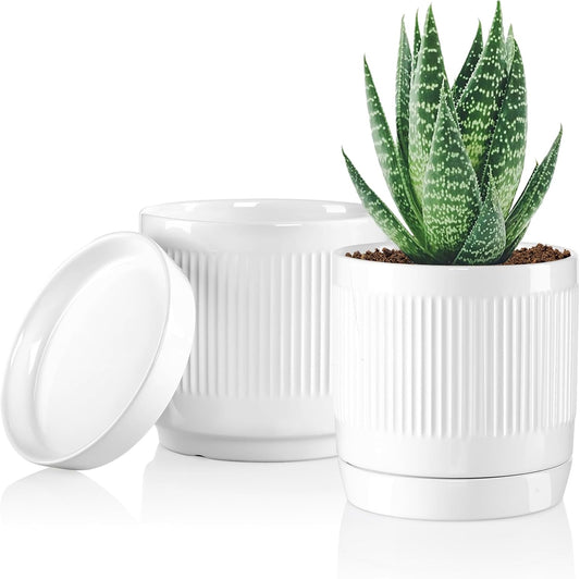 Vanavazon Ceramic Planter Pots for Indoor Plants with Drainage Hole and Saucer,6 Inch Cylinder Plant Pots,Glazed Finish Interior and Exterior,Set of 2 (White)