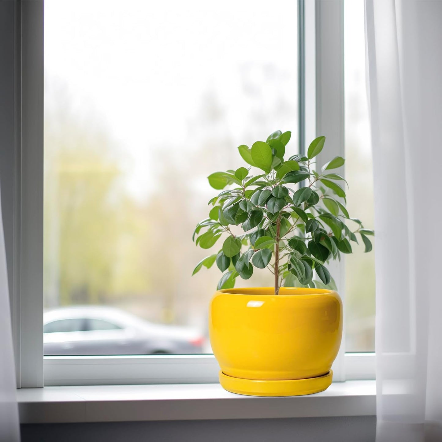 SQOWL Ceramic Plant Pot - 8 Inch Planter for Indoor Outdoor, Decorative Plant Pot with Drainage Hole and Saucer, Modern Round Planter for Flower, Desk Decor, Housewarming Gifts, Yellow