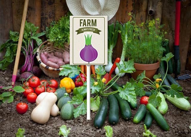 Eveokoki Aluminum Seed & Plant Labels - Plant Markes for Seedlings-Plant Tags for Pots - Garden Signs for Vegetable - Durable Markers for Plants Outdoor Waterproof - Garden Decor for Farmhouse