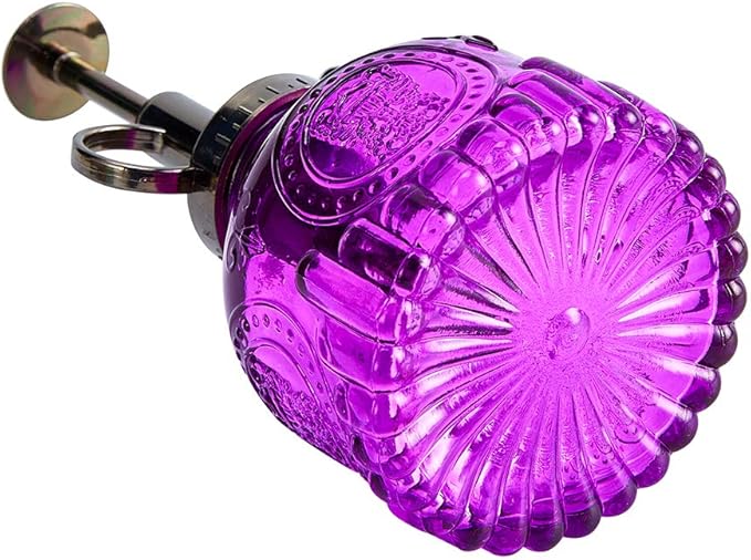 Glass Plant Mister Spray Bottle, 6.5" Tall Vintage Plant Spritzer Watering Can, Succulent Watering Bottle with Top Pump, Small Plant Sprayer Mister for Indoor Outdoor House Plant - Purple