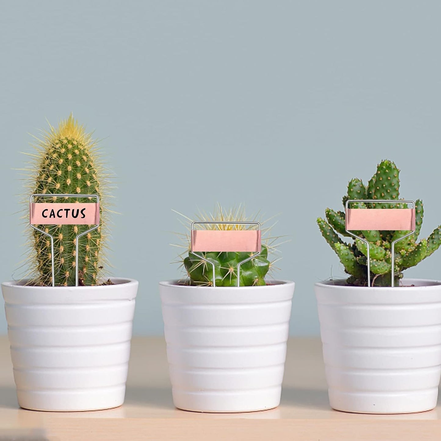 Wehhbtye 25 PCS 6 Inch Metal Plant Label Stakes-Copper Metal Plant Tags,High Copper Plate Plant Labels,Coppers Plant Tags with 1 Maker Pen for Flowers, Vegetables, Seedlings, Seed,etc