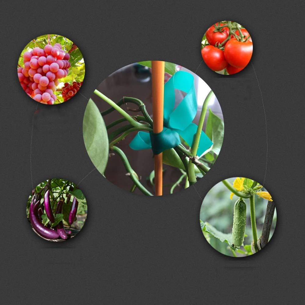 6 Rolls 150 Feet Stretch Tie Tape 0.5 Inch Garden Tie Tape Thick Plant Ribbon Garden Green Vinyl Stake for Indoor Outdoor Patio Plant Use