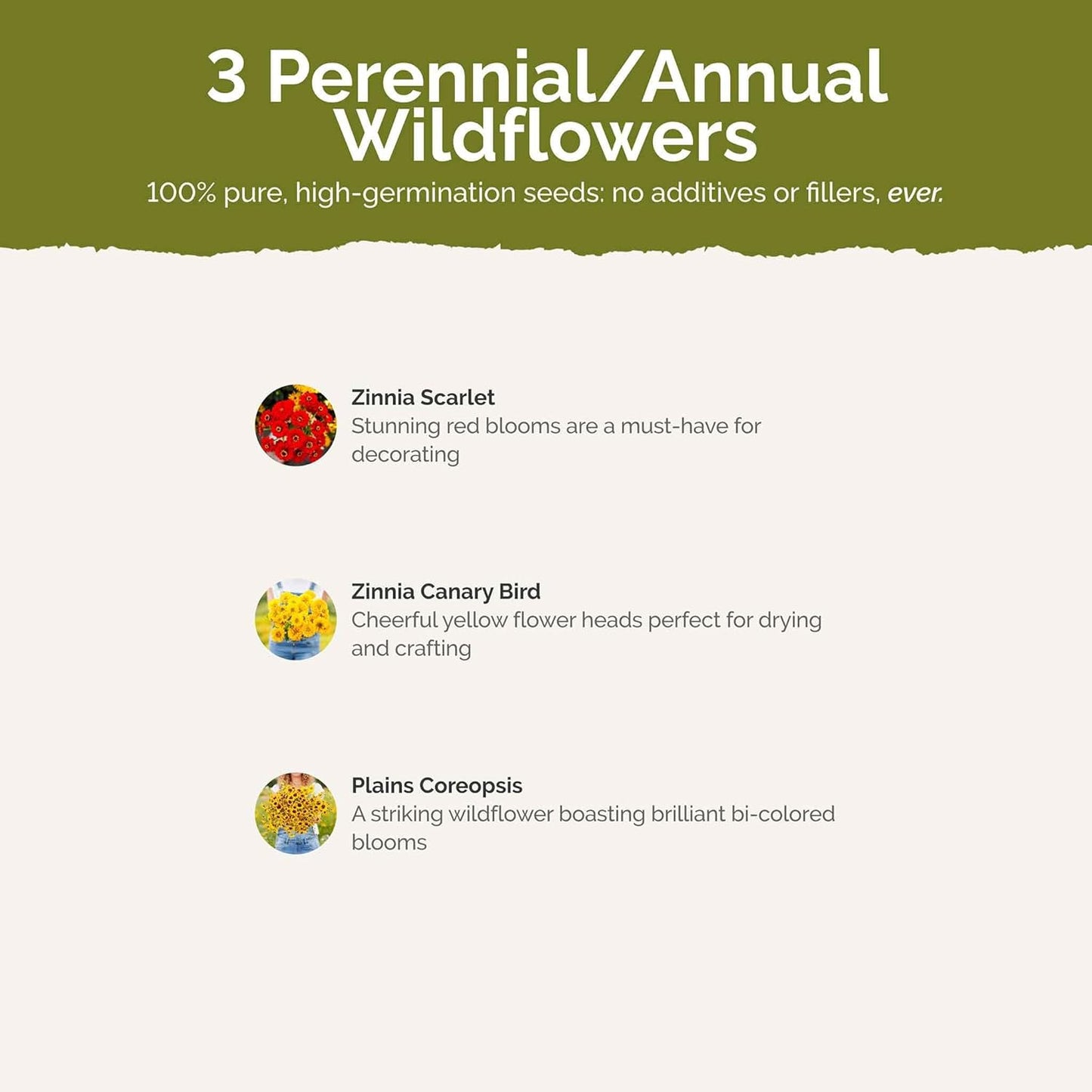 Eden Brothers Fiery Flower Mixed Seeds for Planting, 1 lb, 480,000+ Seeds with Zinnia Scarlet Flame, Plains Coreopsis | Attracts Pollinators, Plant in Spring or Fall, Zones 3, 4, 5, 6, 7, 8, 9, 10