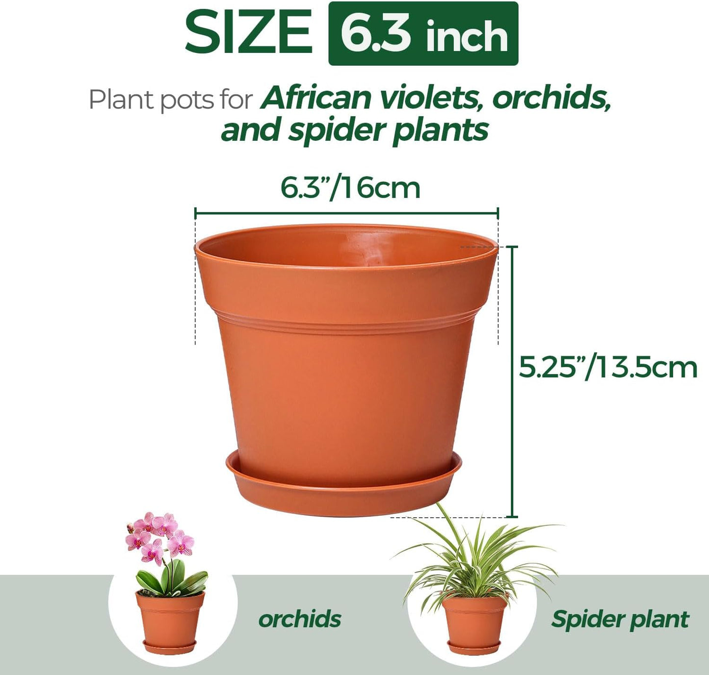 T4U 6 Inch Plant Pot 8-Pack, Plastic Planter with Drainage Hole and Saucer, Decorative Nursery Pots Bulk for African Violet, Snake Plant, Succulent, Herb and Plants Indoor (8 Pcs 6" Pots)