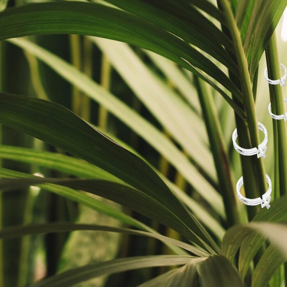 Plant Support Clips Reusable Garden Clips, Secured Plastic Plant Clips, Tomato Support Clips for String Trellis for Climbing Plants Outdoor Indoor Plant Flowers Stem Vine Fixing Clips (50, Black)