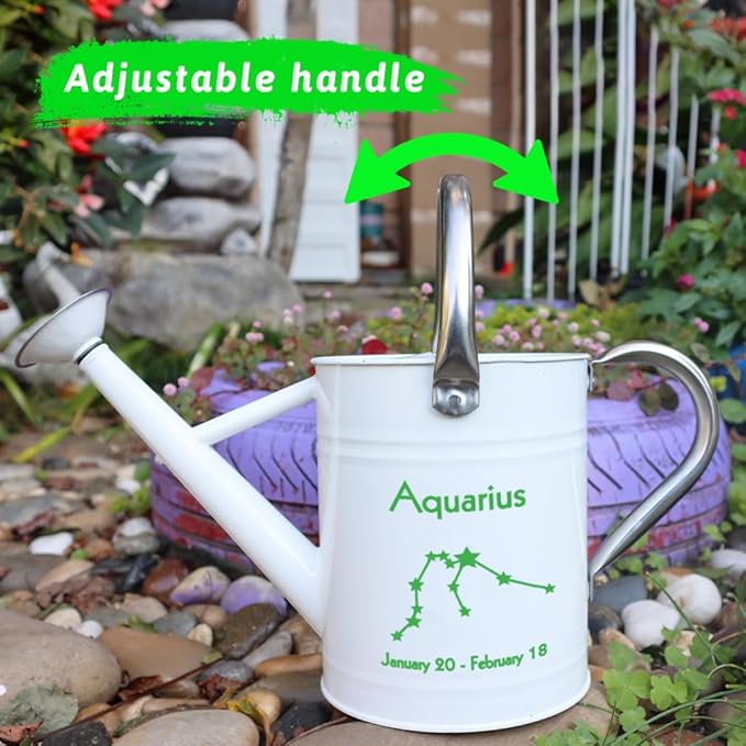 Metal Watering Can for Outdoor and Indoor Plants, Watering Can Decor, 1 Gallon (Aquarius)