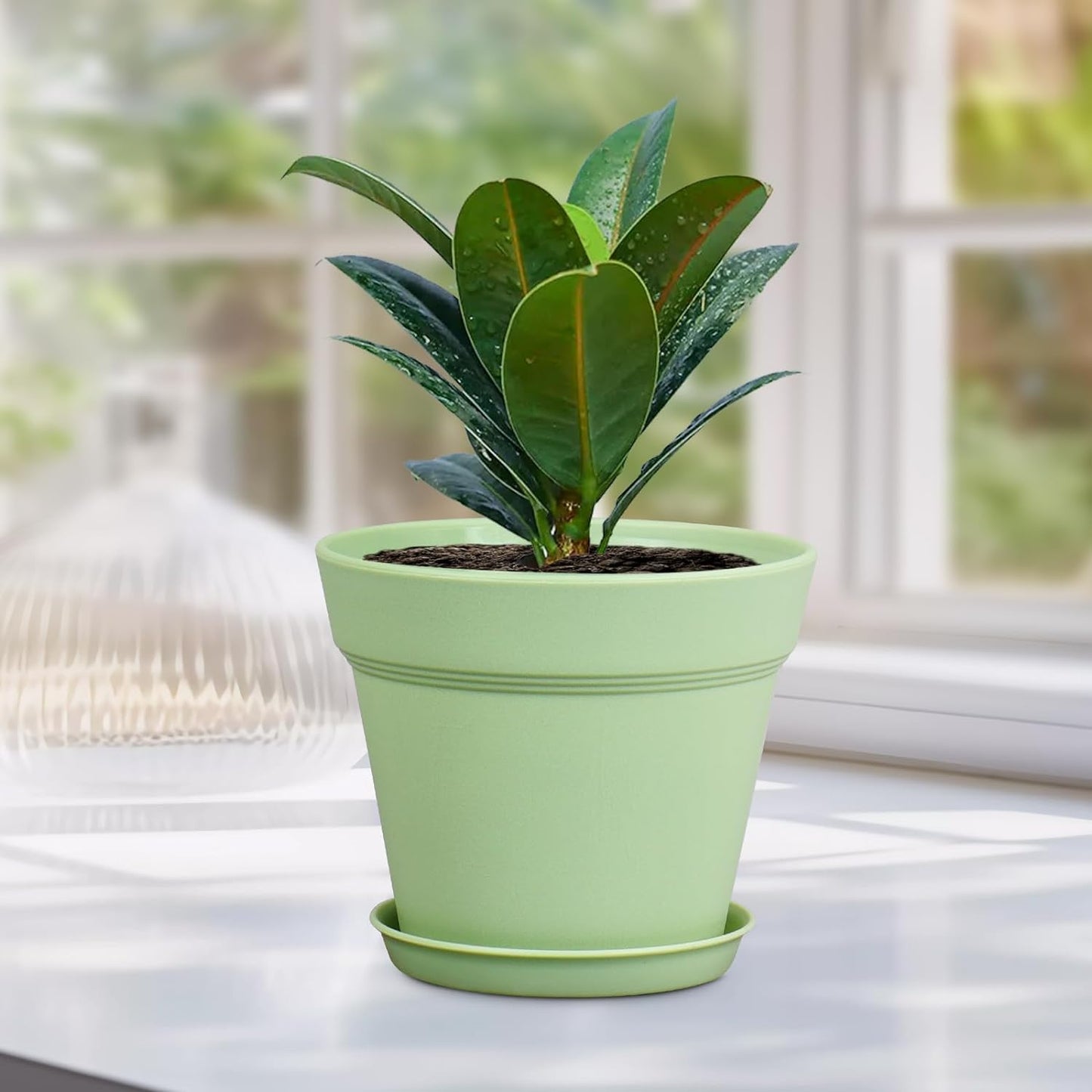 6 inch Plastic Nursery Pots, 16 Pack Plant Pots for Small Indoor Outdoor Plants, Flower Pots with Drainage Holes and Saucers, Decorative Seeding Starter Planters for Houseplants, Green