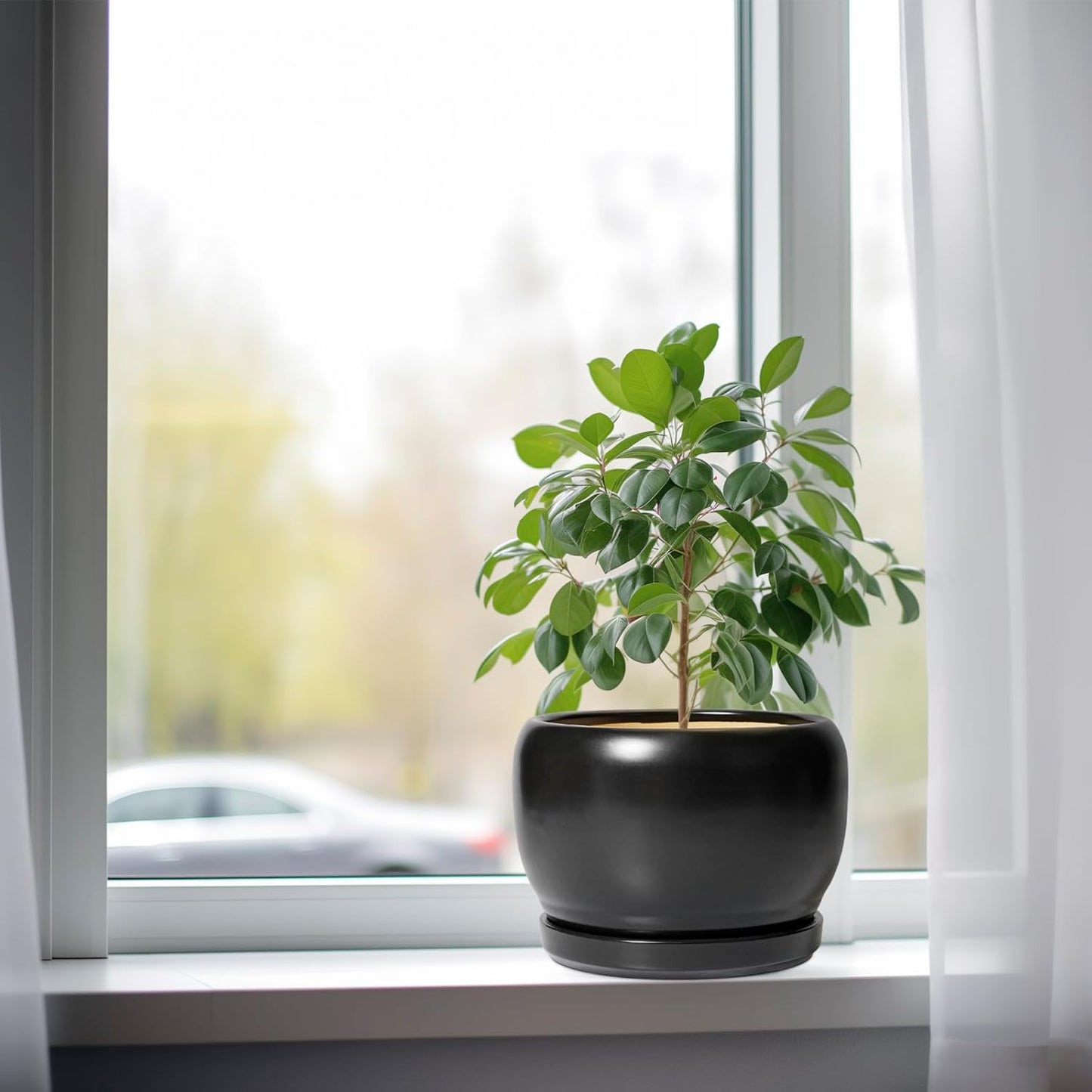 SQOWL Ceramic Plant Pots - 8 Inch Planter Indoor, Round Flower Pot with Drainage Hole and Saucer, Modern Outdoor Planter, Apartment Decor, Gifts for Plant Lovers, Black