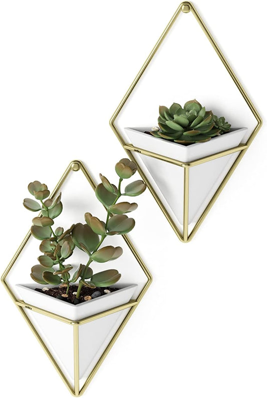 Umbra Trigg Hanging Planter Vase Wall Decor, Set of 2 Pots Containers for Succulents, Cactus, Faux Plants, and More, Small, White/Brass