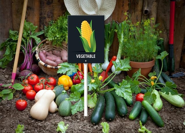 Eveokoki Aluminum Seed & Plant Labels - Plant Markes for Seedlings-Plant Tags for Pots - Garden Signs for Vegetable - Durable Markers for Plants Outdoor Waterproof - Garden Decor for Farmhouse